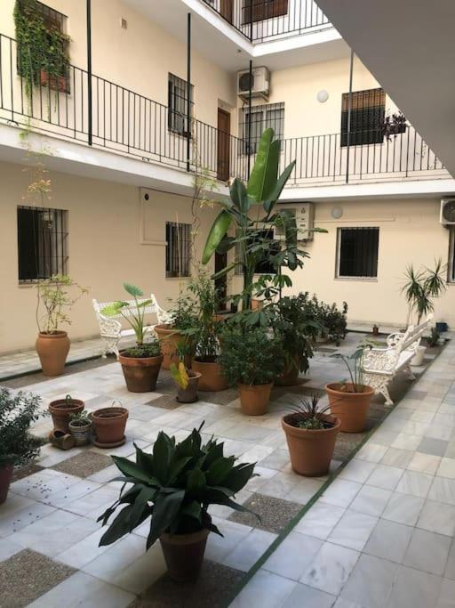 Sevilla San Bernardo Apartamento Exterior photo